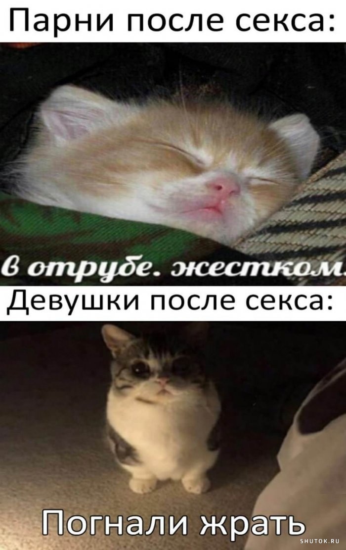 «Папу выгнали, мама в отрубе»: как мы родили близнецов в Эстонии и сколько это стоило