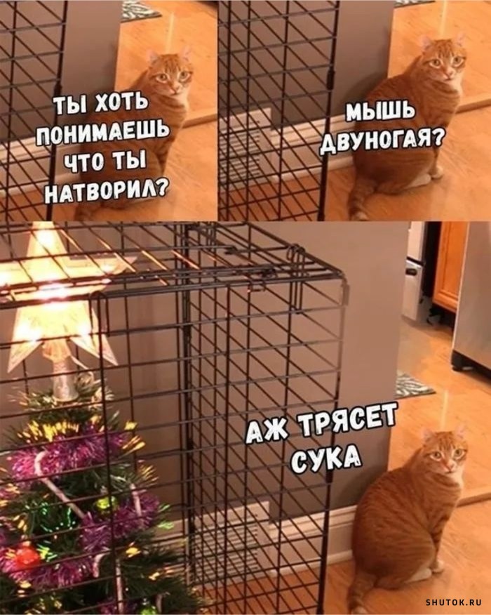 Кошка в клетке картина