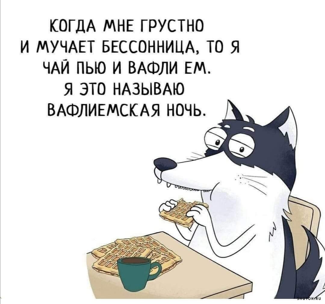 Смешные картинки на ночь