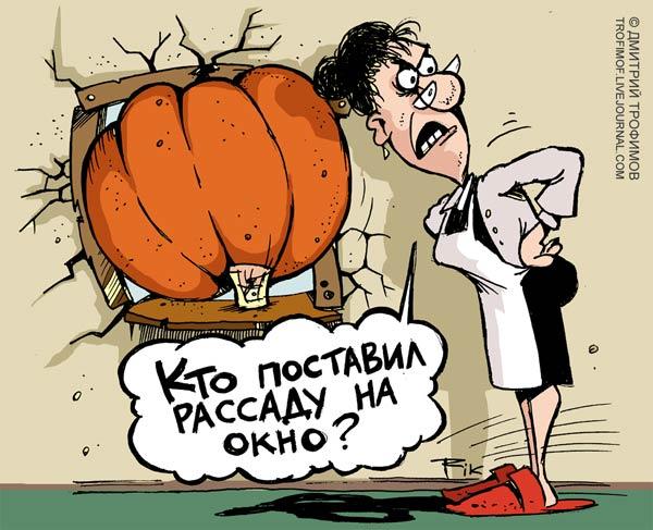 Дача карикатуры картинки