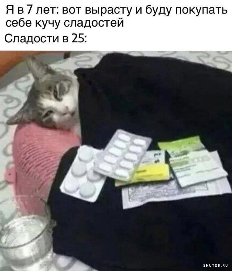 Котик болеет картинки смешные