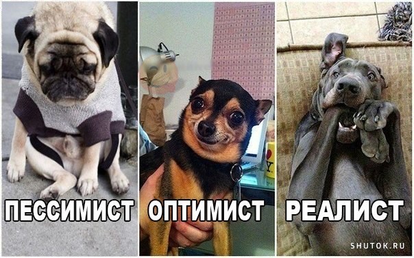 Картинка оптимист пессимист и реалист