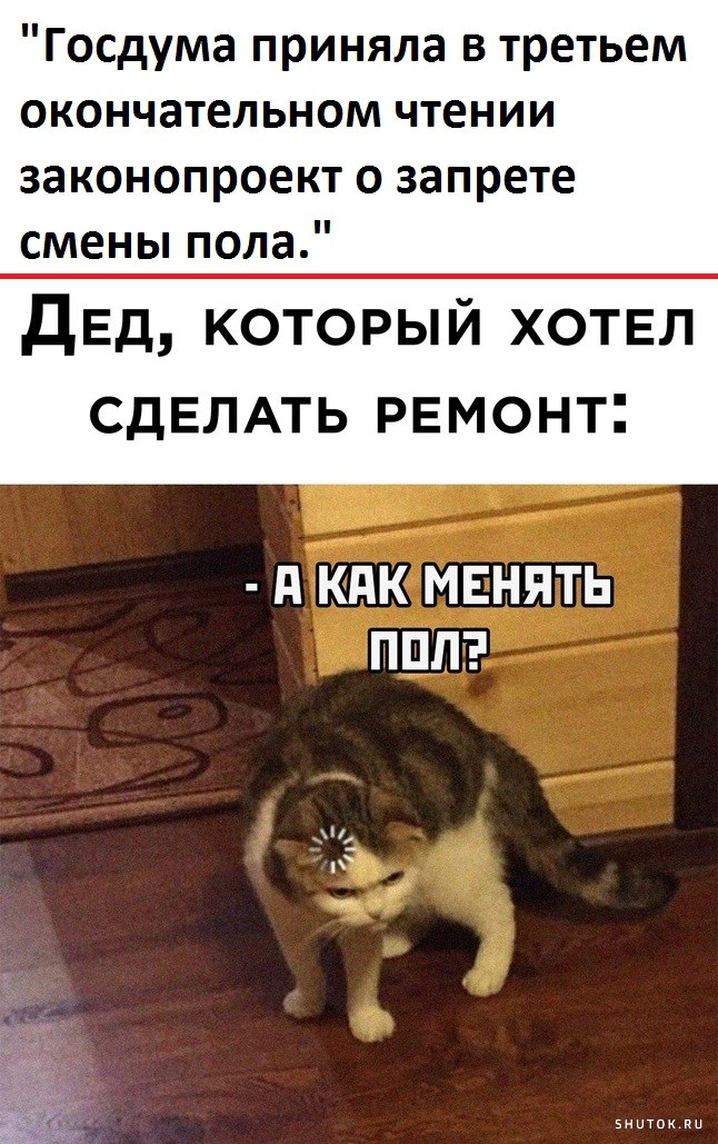 Смешные картинки принято