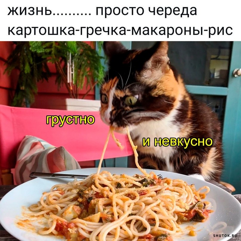 Смешные картинки сегодня