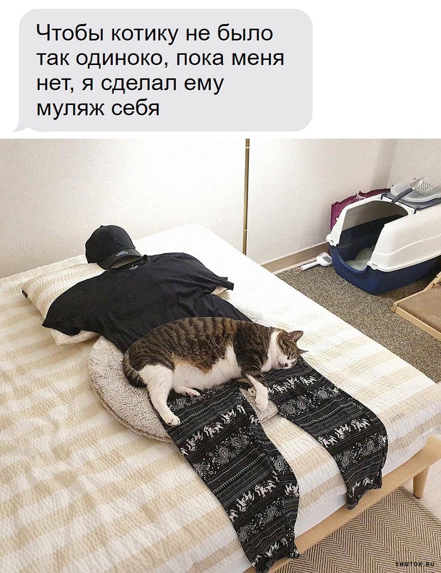 Муляж кота