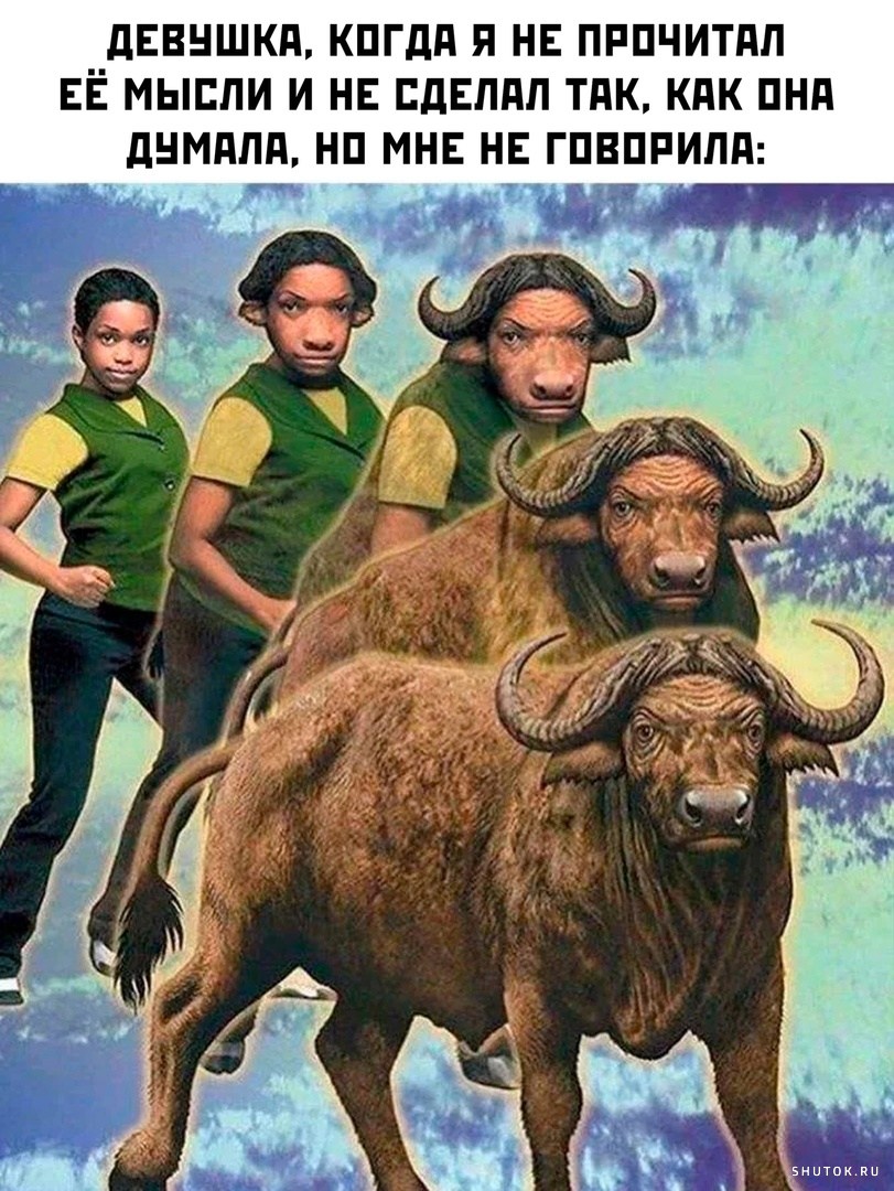 Аниморфы. Animorphs.