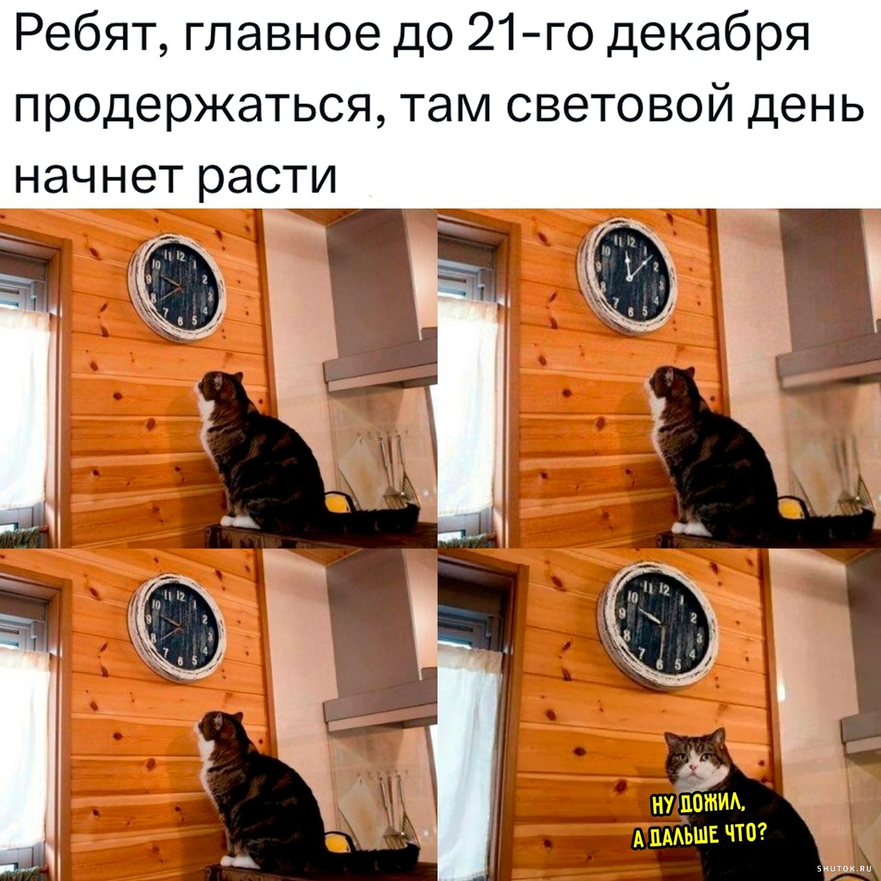 Ну теперь я дома