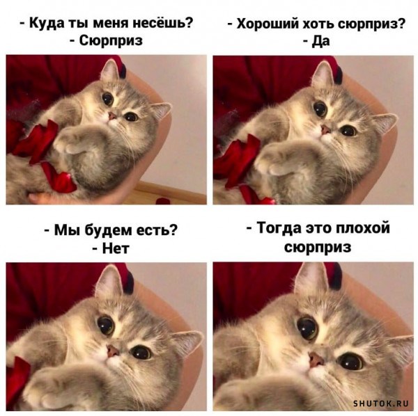 Смешные мемы