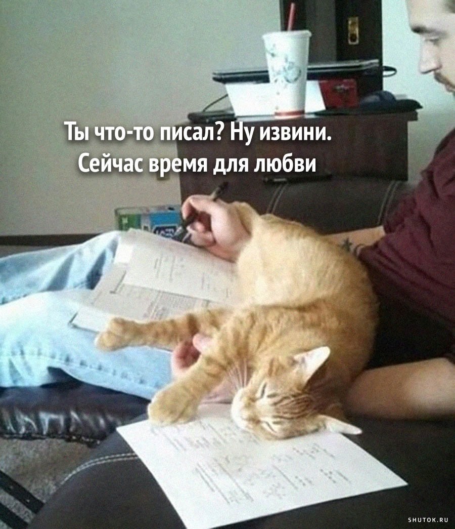 Приколы 1