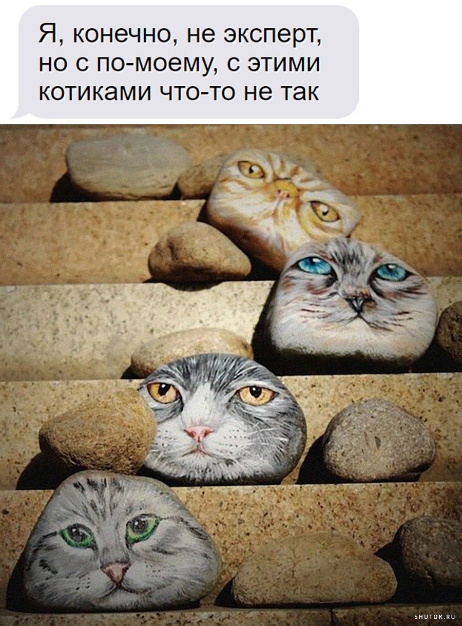 Коты картинки с текстом