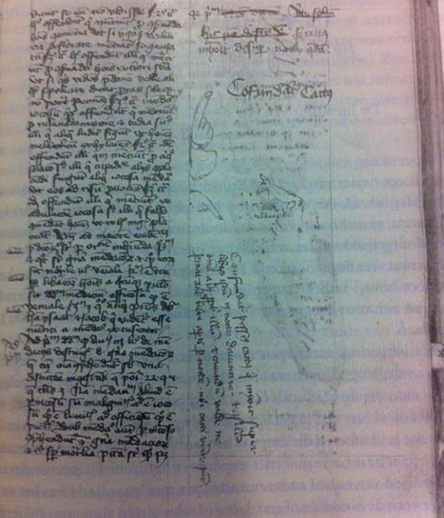 «Будь проклят этот кот, что помочился на мою книгу!» Запись в манускрипте, сделанная в 1420 году, одно фото и текст