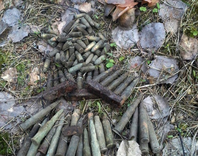 Страшное эхо войны в карельском лесу, 14 фото и текст