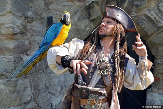 Для чего на самом деле пираты заводили попугаев, 4 фото и текст