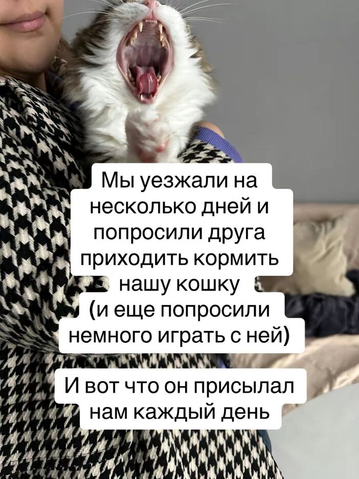 Кажется, она скоро от нас уйдёт ... к другу, 6 картинок