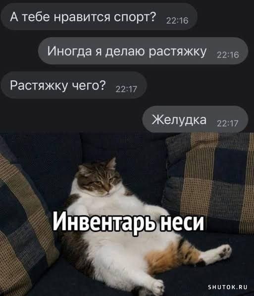 Любимый спорт