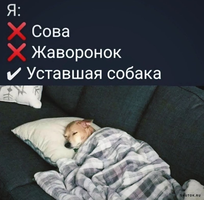 Спокойной ночи😴