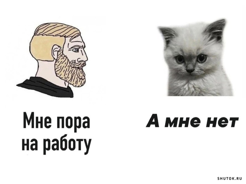 Жиза