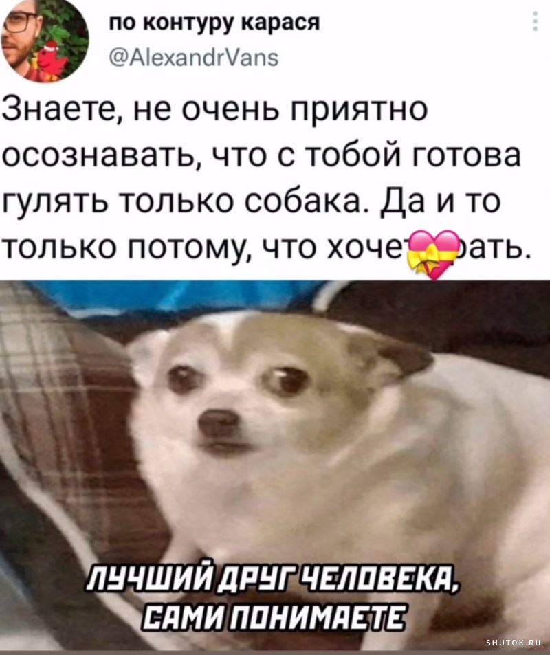 Собака