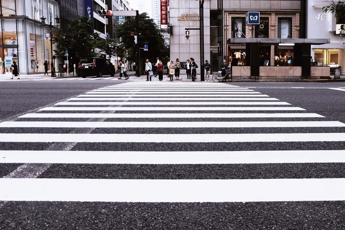 Черно-белый пешеходный переход: почему «зебра» выглядит именно так